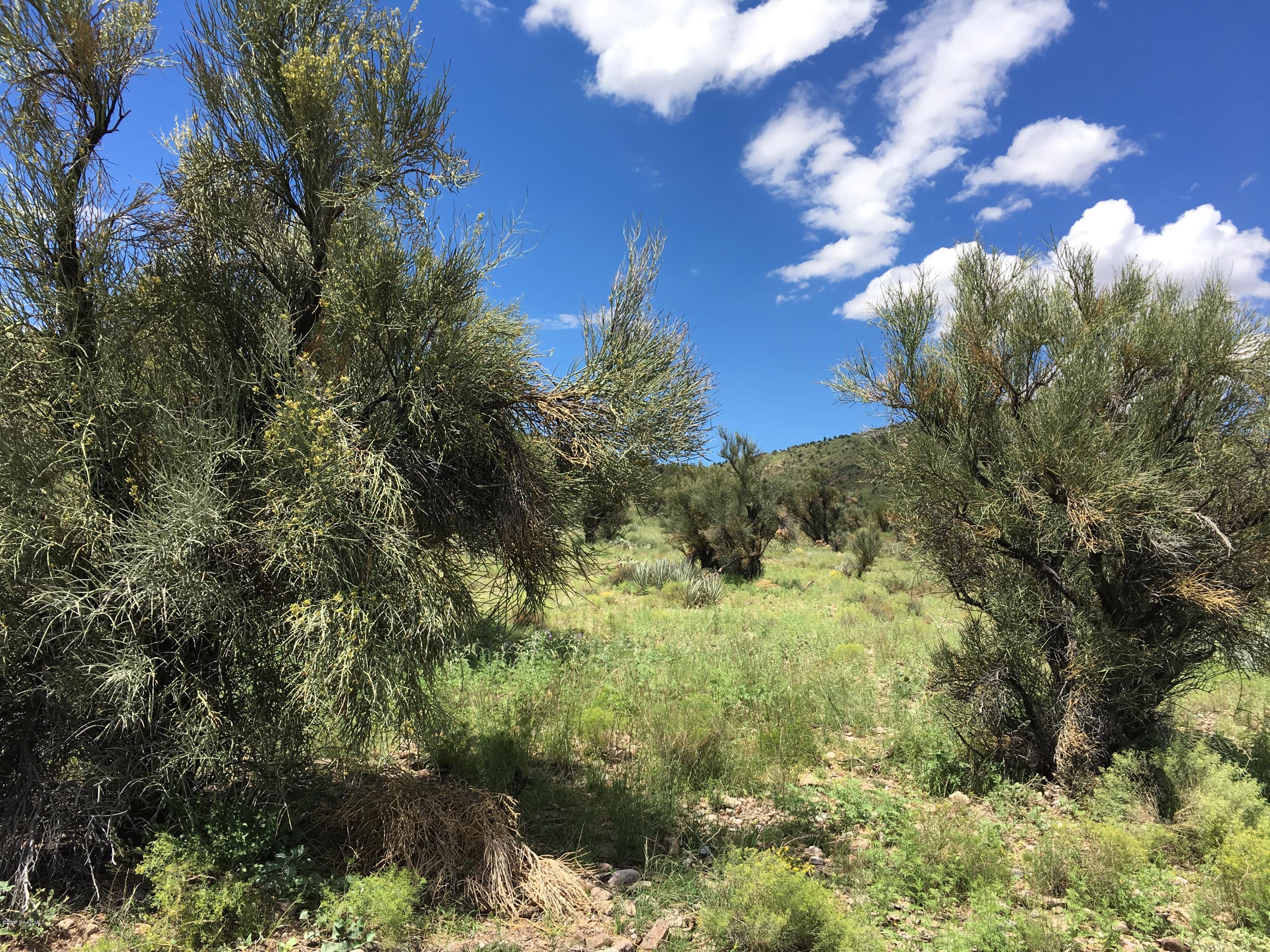 160-acres Harris Valley Ranch Road Seligman, AZ 86337 - Photo 4 of 5 2017-08-22 12.46.26