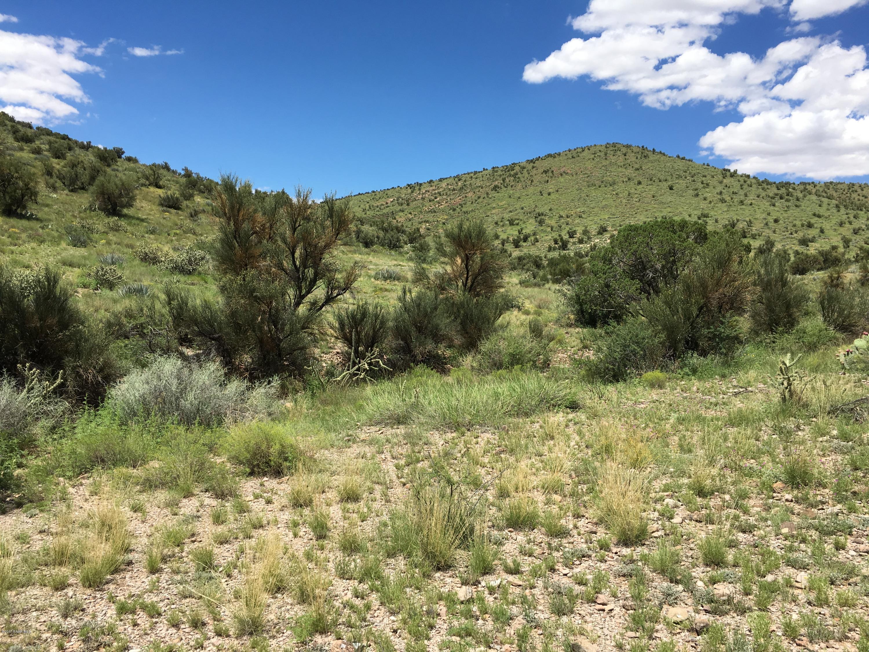 160-acres Harris Valley Ranch Road Seligman, AZ 86337 - Photo 5 of 5 2017-08-22 12.50.23