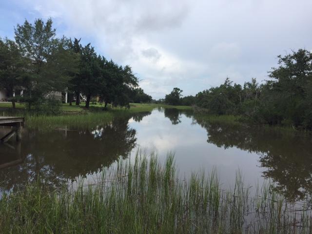 2413 Pristine View Road Charleston, SC 29414 - Photo 14 of 28 IMG_0527 (1)