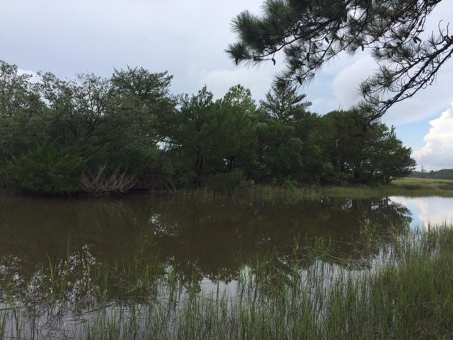 2413 Pristine View Road Charleston, SC 29414 - Photo 22 of 28 IMG_0520