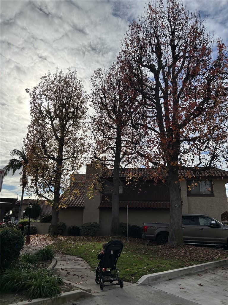 5345 Peck Road, Unit B El Monte, CA 91732 - Photo 13 of 17 a view of a park with large trees