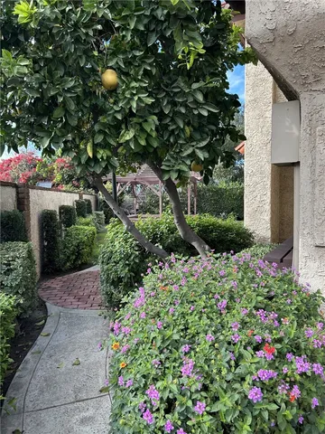 a small garden covered with flower plants