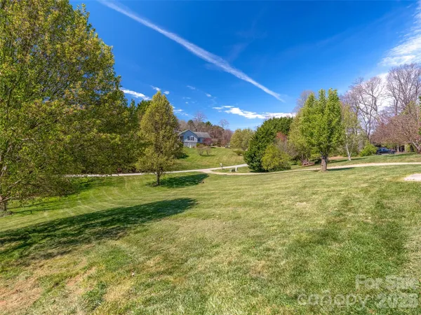 a view of a field with trees