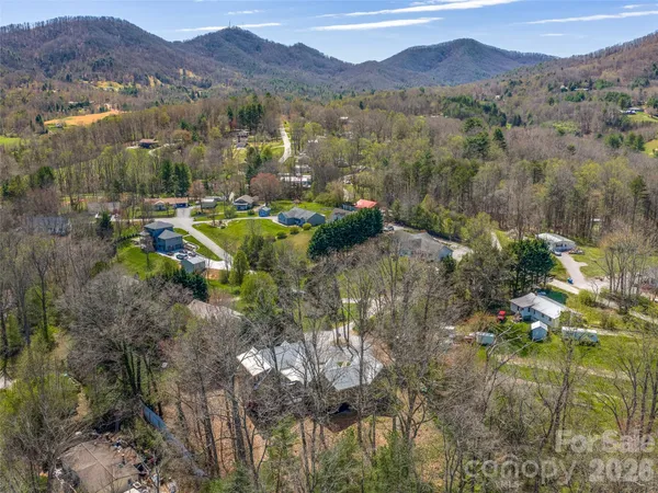 a view of a lush green hillside and houses