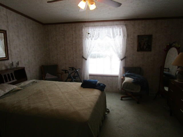10937 Afton Road Wolverine, MI 49799 - Photo 19 of 32 Gallery Image 19
