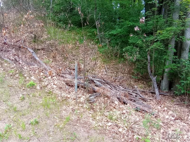 Lot 9 West Road Gladwin, MI 48624 - Photo 5 of 8