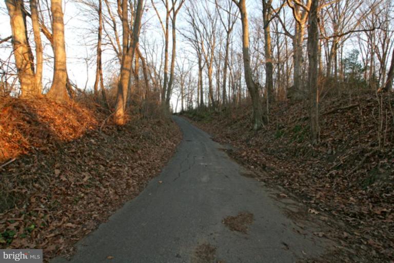 17807 Bacon Road White Hall, MD 21161 - Photo 13 of 14 a view of a forest with trees