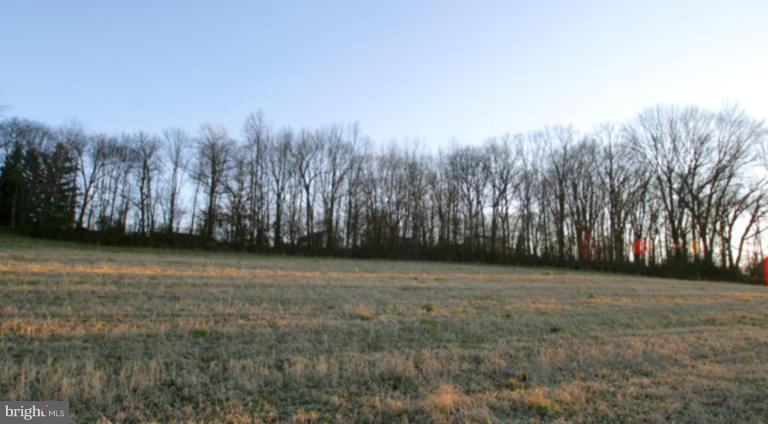 17807 Bacon Road White Hall, MD 21161 - Photo 6 of 14 a view of a yard with trees
