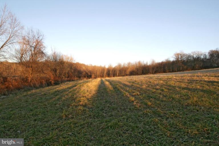 17807 Bacon Road White Hall, MD 21161 - Photo 9 of 14 a view of a field of grass and trees