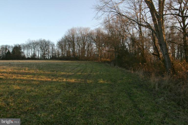 17807 Bacon Road White Hall, MD 21161 - Photo 10 of 14 a view of a field with trees in background