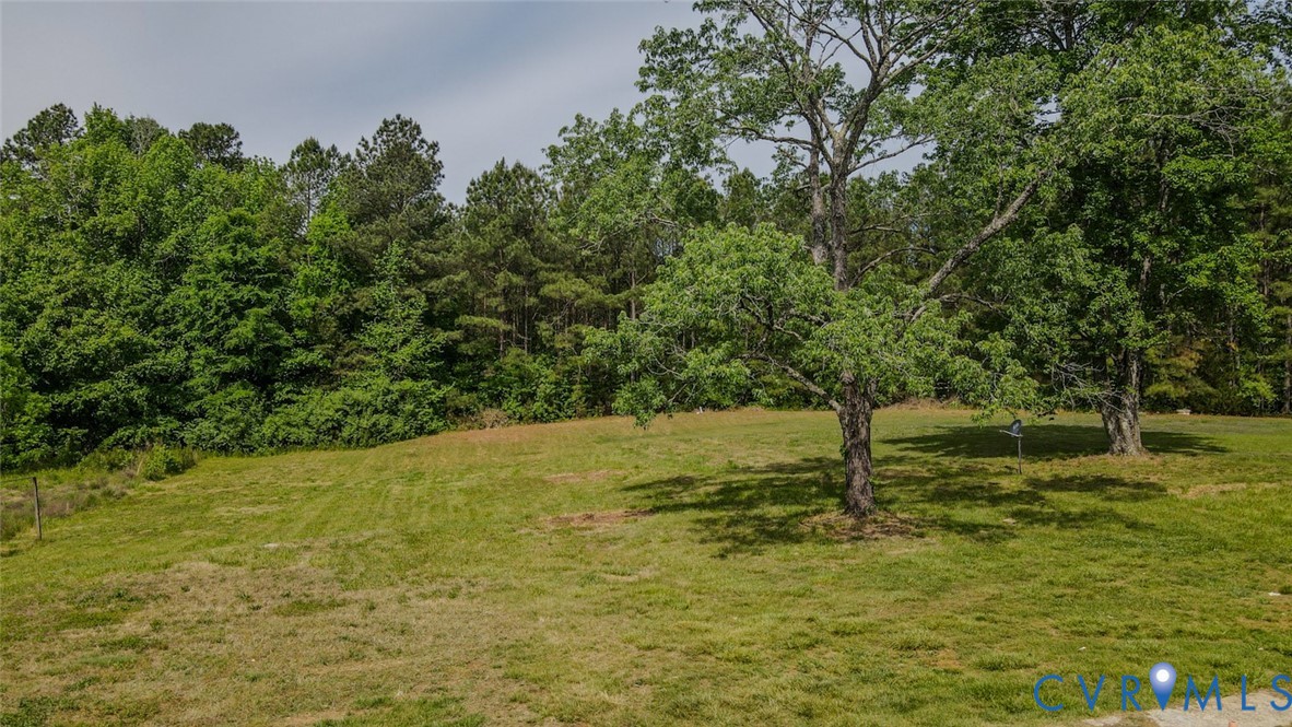 19614 Manson Church Road McKenney, VA 23872 - Photo 22 of 24 a view of a tree with a yard