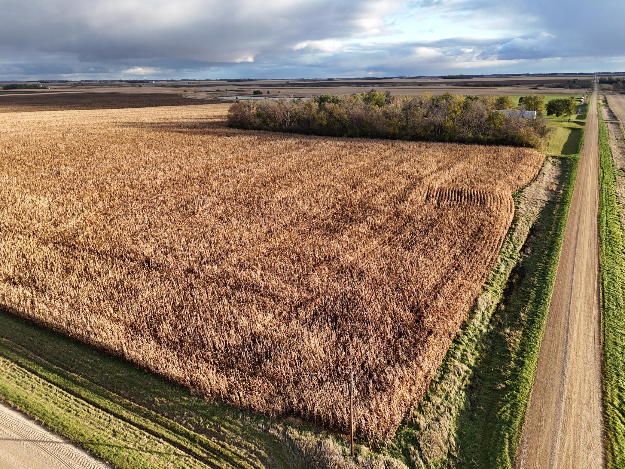 4 Alberta Mn 56207 Alberta, MN 56207 - Photo 4 of 6