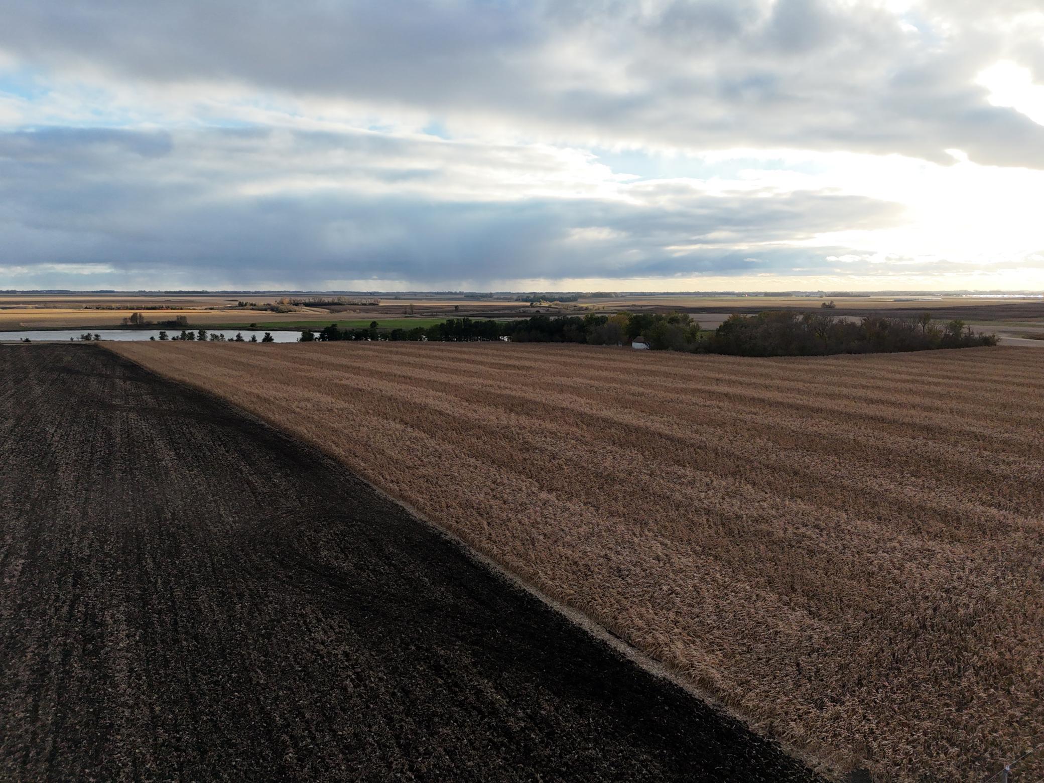 4 Alberta Mn 56207 Alberta, MN 56207 - Photo 5 of 6