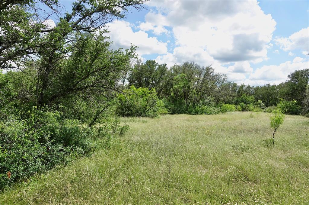 219 C R 550 Mullin, TX 76864 - Photo 25 of 37 a view of a big yard with large trees