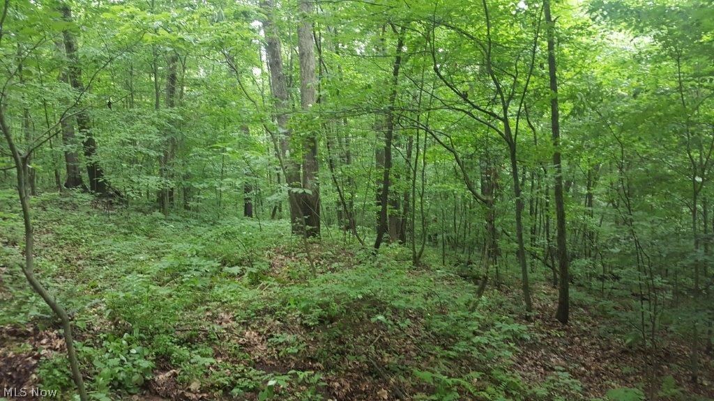 5846 Holmes Church Road Northeast New Philadelphia, OH 44663 - Photo 14 of 34