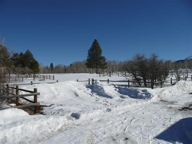 185 South Point Road Placerville, CO 81430 - Photo 12 of 15 Beautiful Corrals