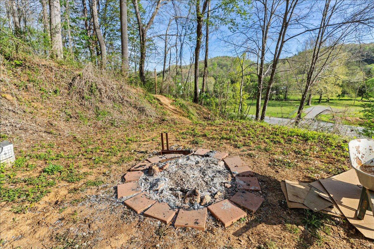 6595 Roanoke Road Shawsville, VA 24162 - Photo 37 of 45 37-1000032605