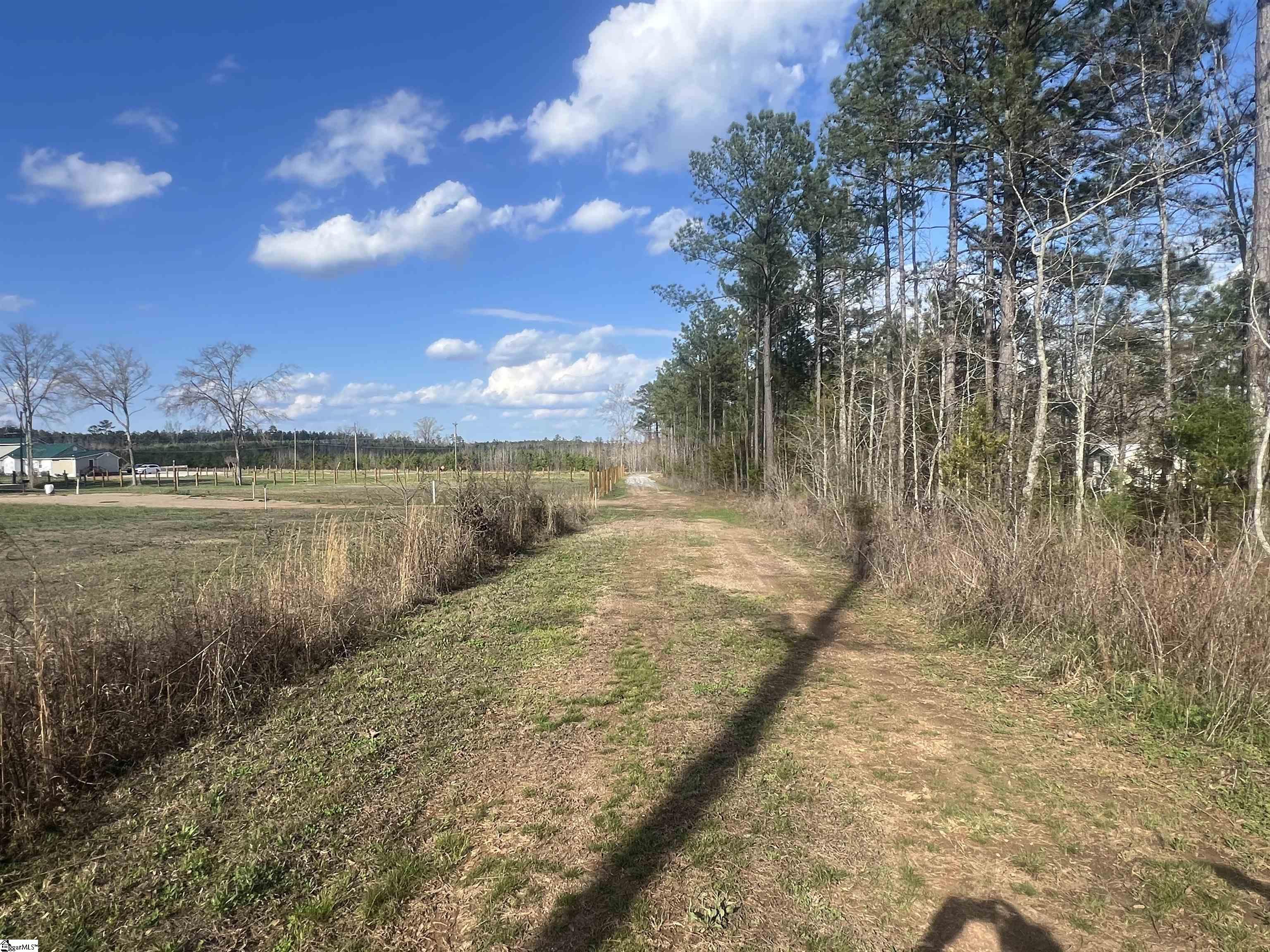 102 Edwards Lane Cross Hill, SC 29332 - Photo 3 of 9