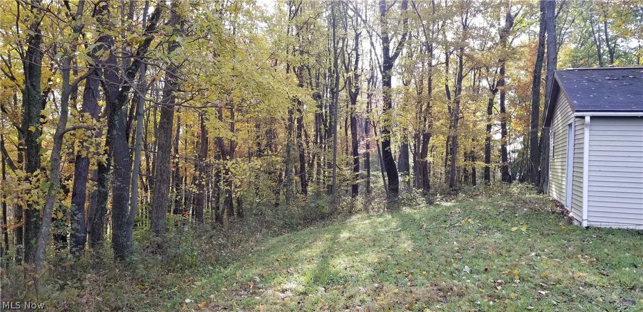 70010 Hopewell Road Kimbolton, OH 43749 - Photo 9 of 19 Gallery Image 9