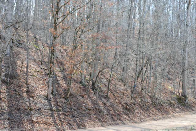 533 Lowe Branch Road Centerville, TN 37033 - Photo 19 of 20 Gallery Image 19