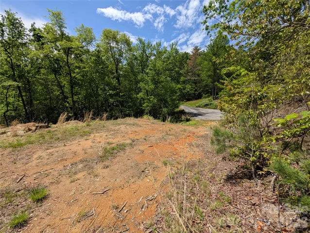 a view of a snow in the yard