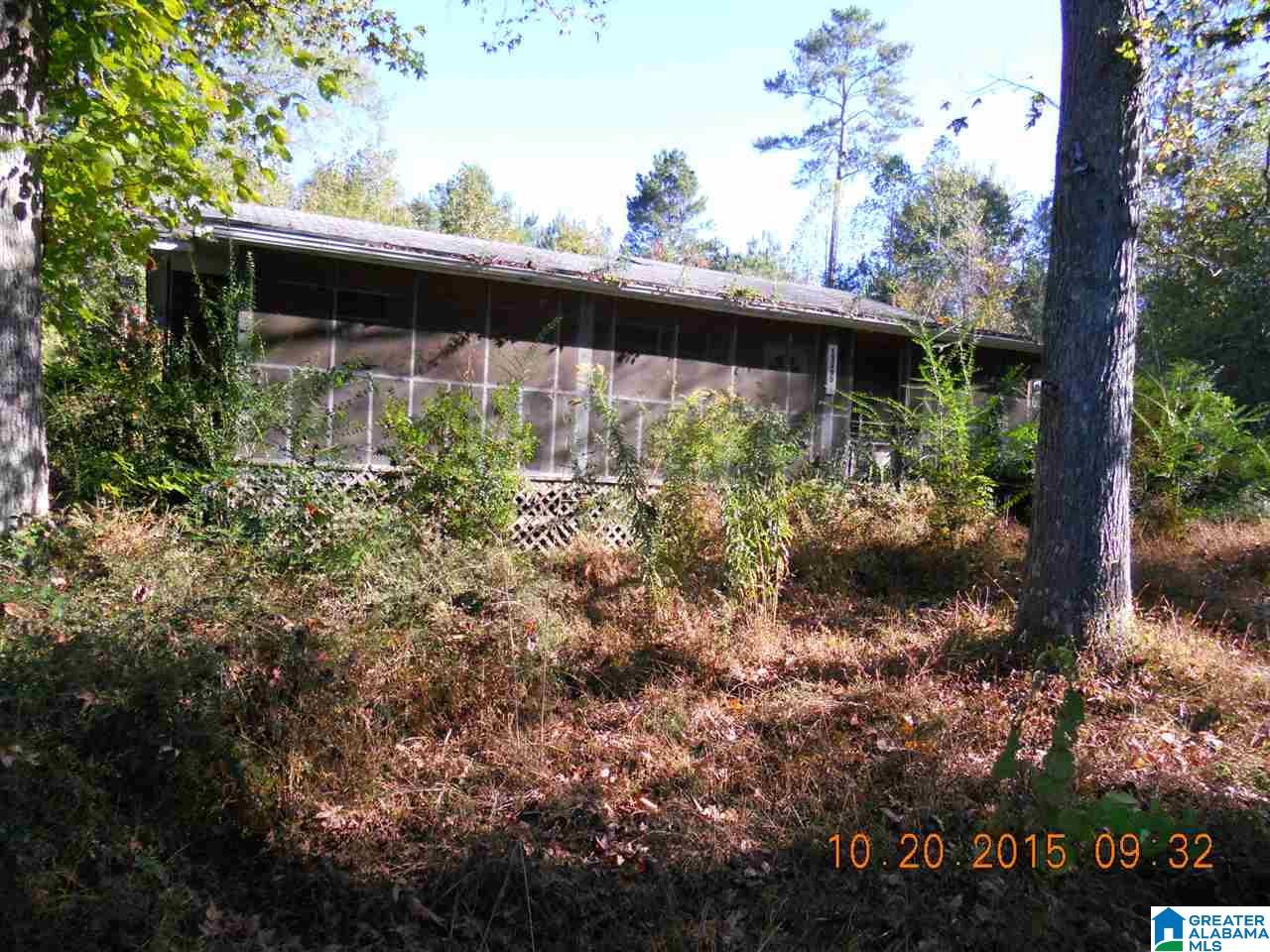 13259 Highway 46 Heflin, AL 36264 - Photo 1 of 17