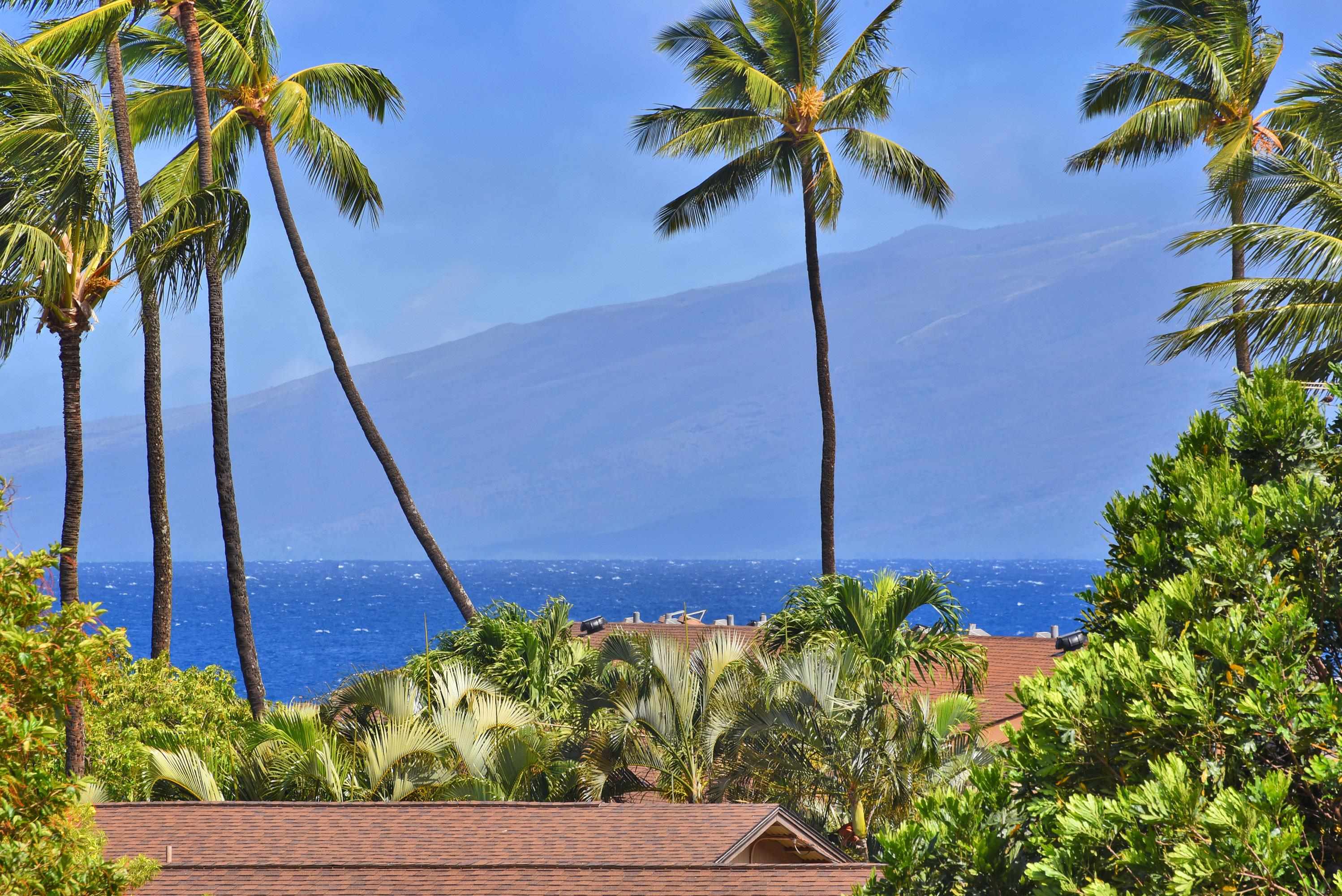 3660 Lower Honoapiilani Road, Unit 302 Lahaina, HI 96761 - Photo 26 of 27 a view of a backyard