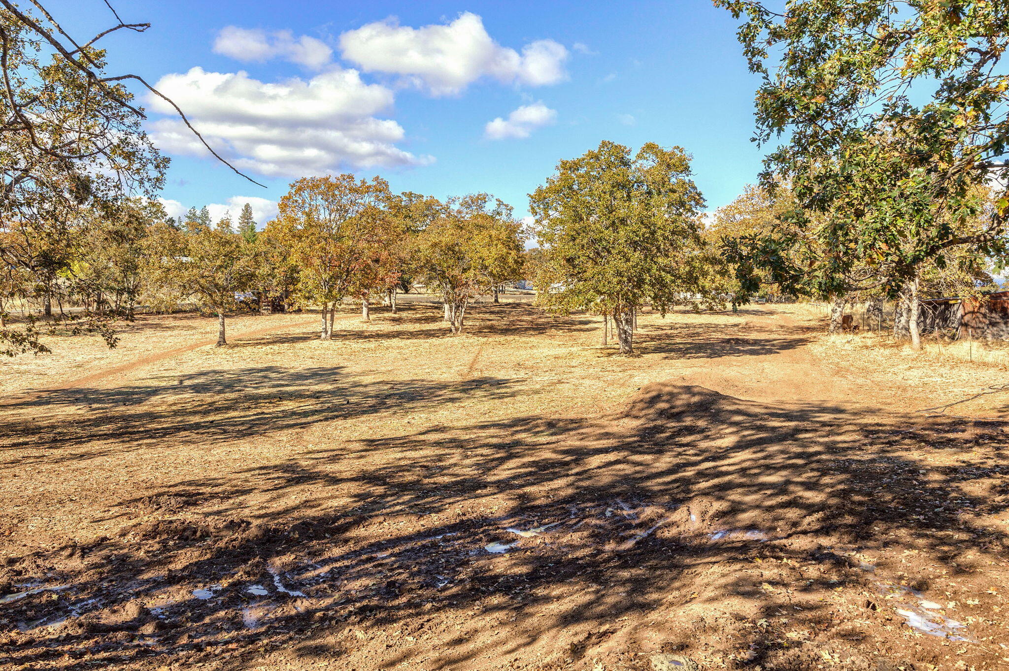 7400 Webber Road White City, OR 97503 - Photo 41 of 44 41