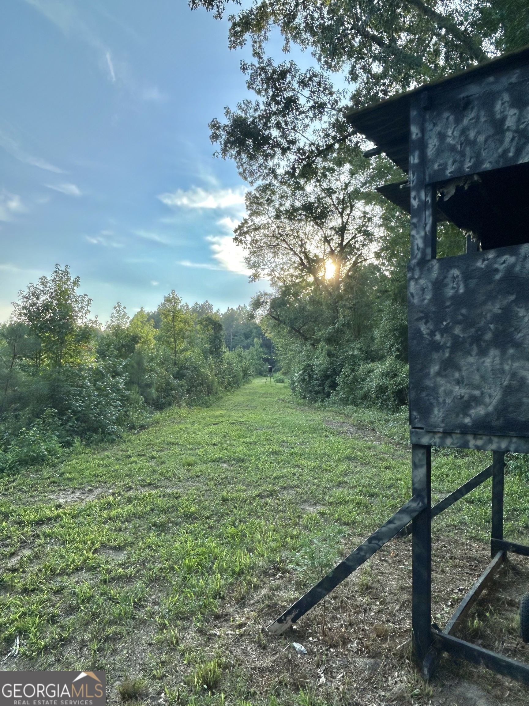 0 Red Bluff Church Road Soperton, GA 30457 - Photo 1 of 1 Gallery Image 1