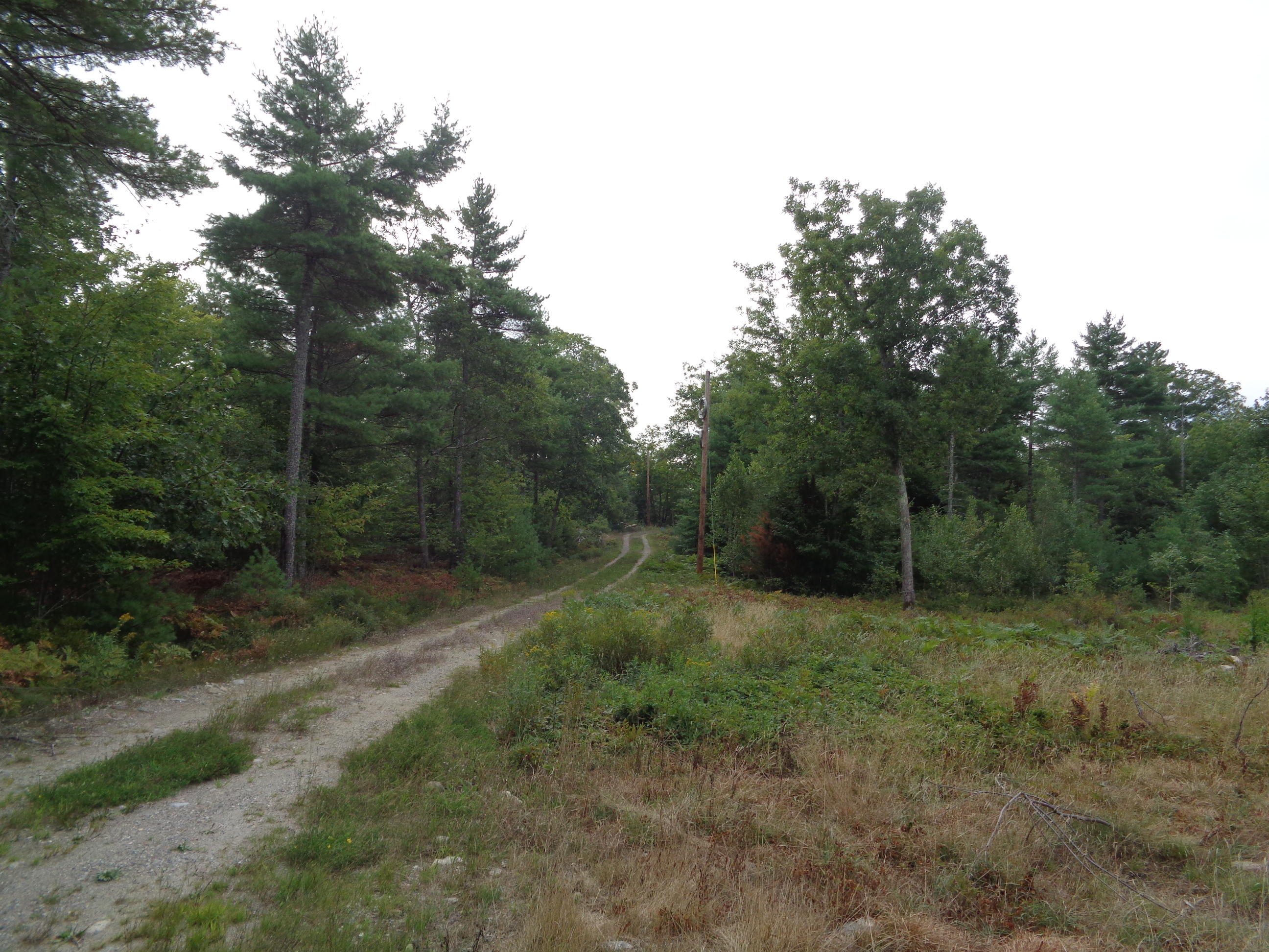 0 Hockomock Road Woolwich, ME 04579 - Photo 10 of 19 DSC00183