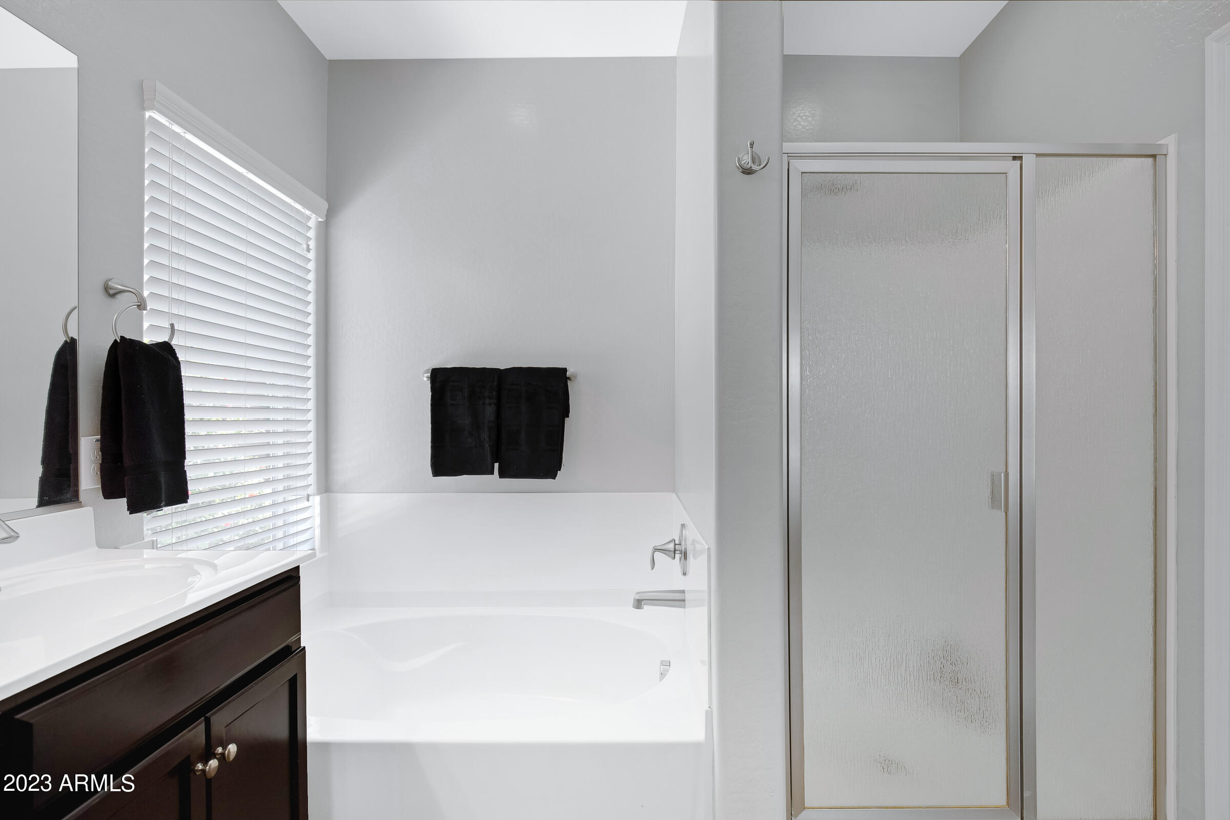 2646 East Mews Road Gilbert, AZ 85298 - Photo 35 of 52 Soaking Tub and Shower