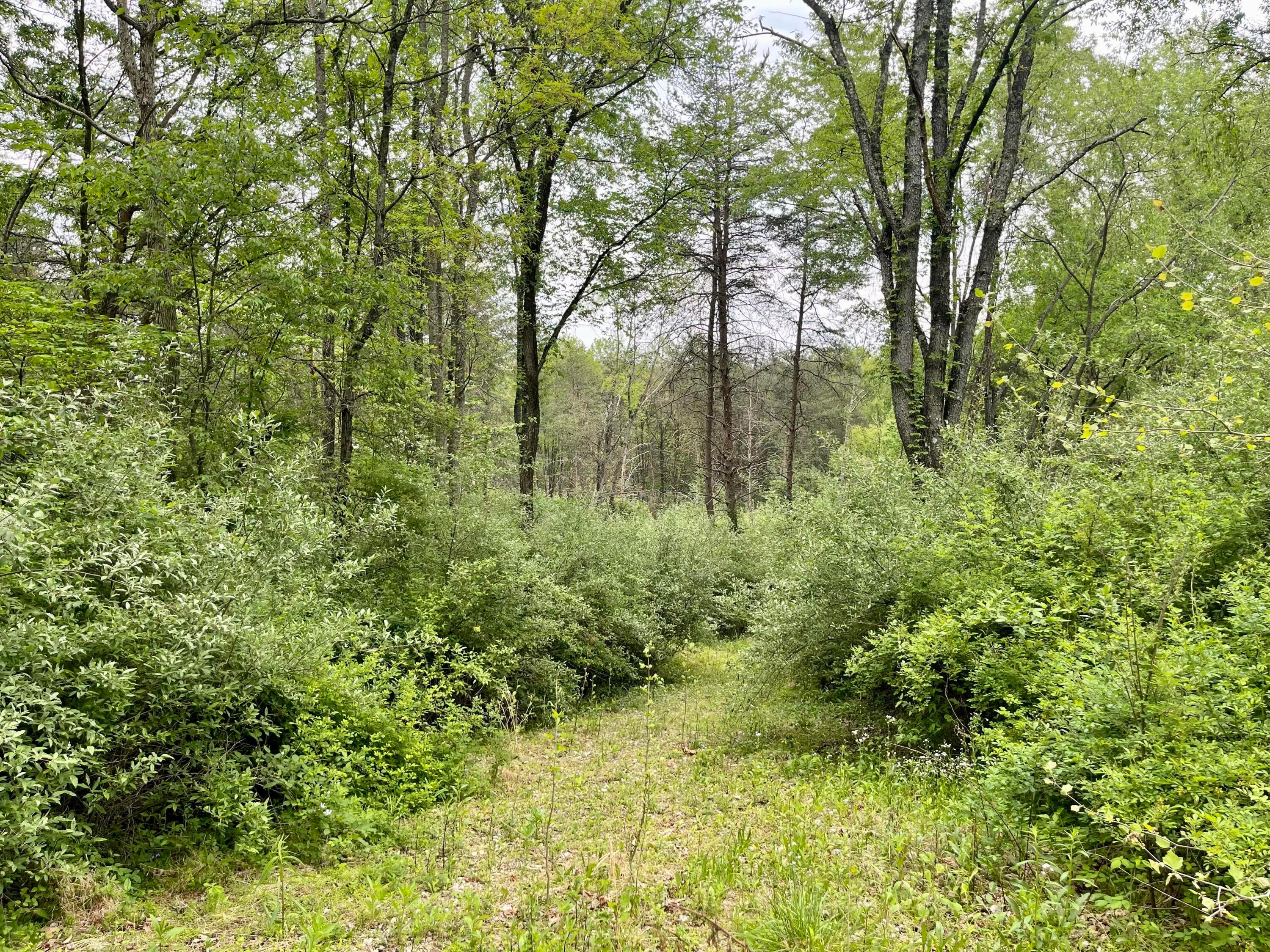0 Pumpkin Ridge Road New Plymouth, OH 45654 - Photo 1 of 17 0 Pumpkin Ridge Road, New Plymouth
