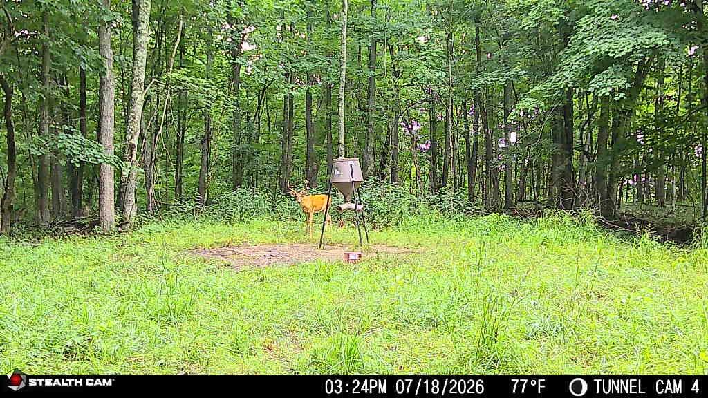 1271 A Tunnel Ridge Road Grayson, KY 41143 - Photo 71 of 134 7.22.26 08