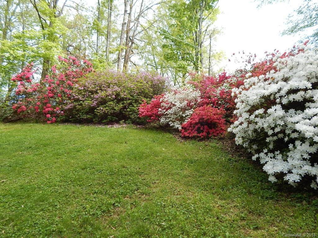 65 East Wonder Road Leicester, NC 28748 - Photo 34 of 35 Gallery Image 34