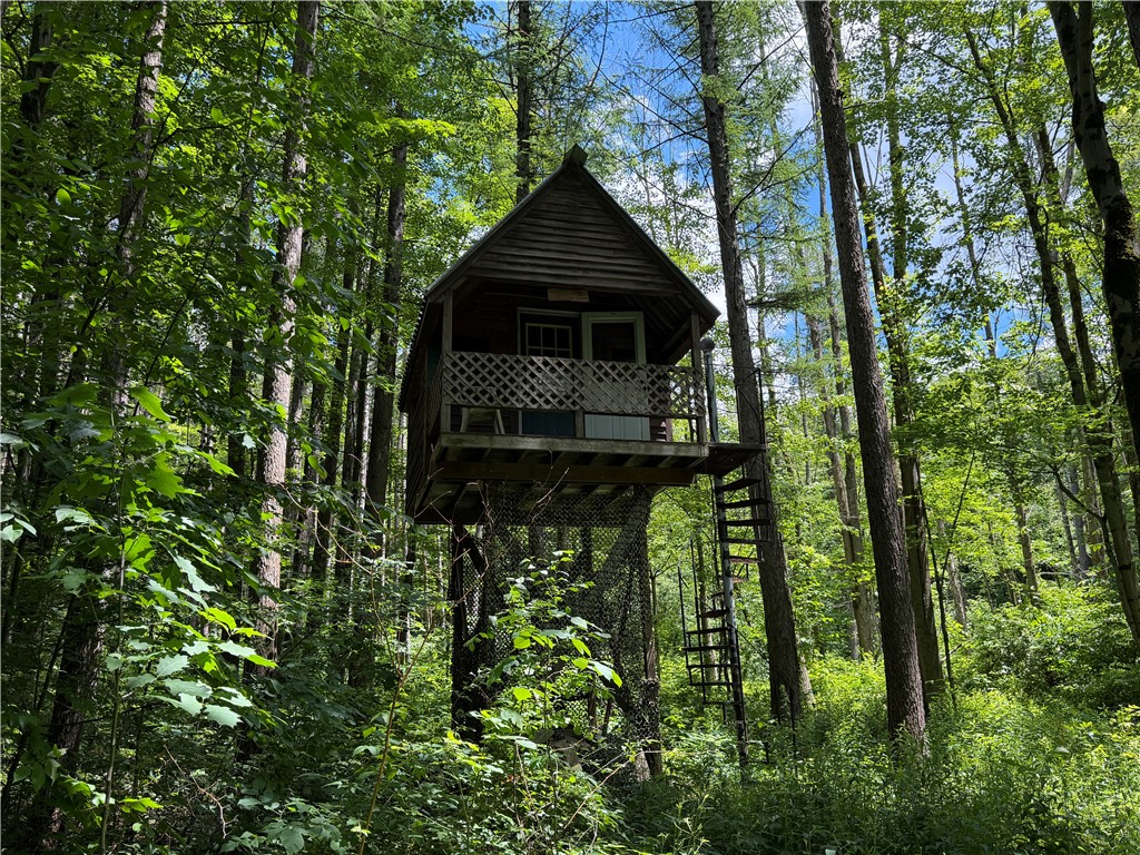 6891 Mt Monroe Road New Hudson, NY 14727 - Photo 48 of 50
