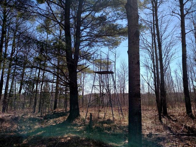 W6614 Loop Rd Road Phillips, WI 54555 - Photo 15 of 19 Gallery Image 15