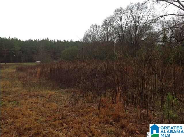 2695 Main Street Brent, AL 35034 - Photo 2 of 8