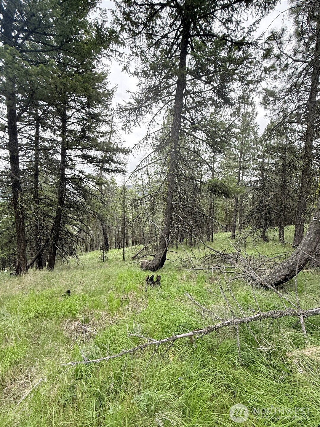 0 Broken Spoke Road Tonasket, WA 98855 - Photo 19 of 39 a backyard of a house with lots of green space