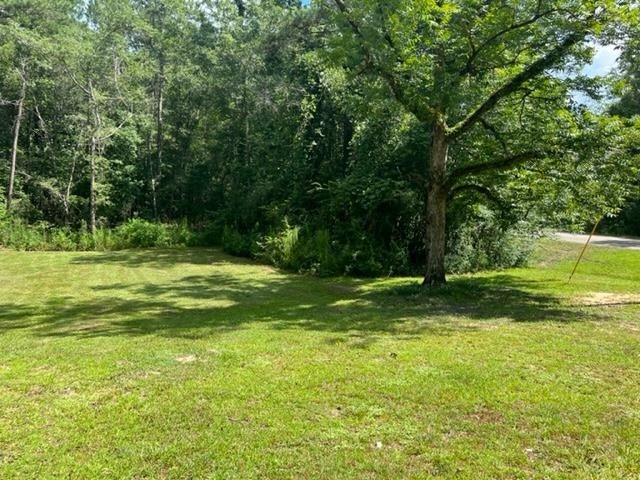 2665 Lester Bell Road Brantley, AL 36009 - Photo 26 of 48 Gallery Image 26