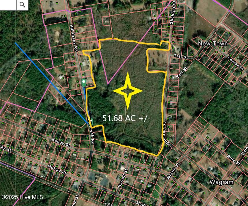 Tbd Hill Creek Road Wagram, NC 28396 - Photo 1 of 1 Gis
