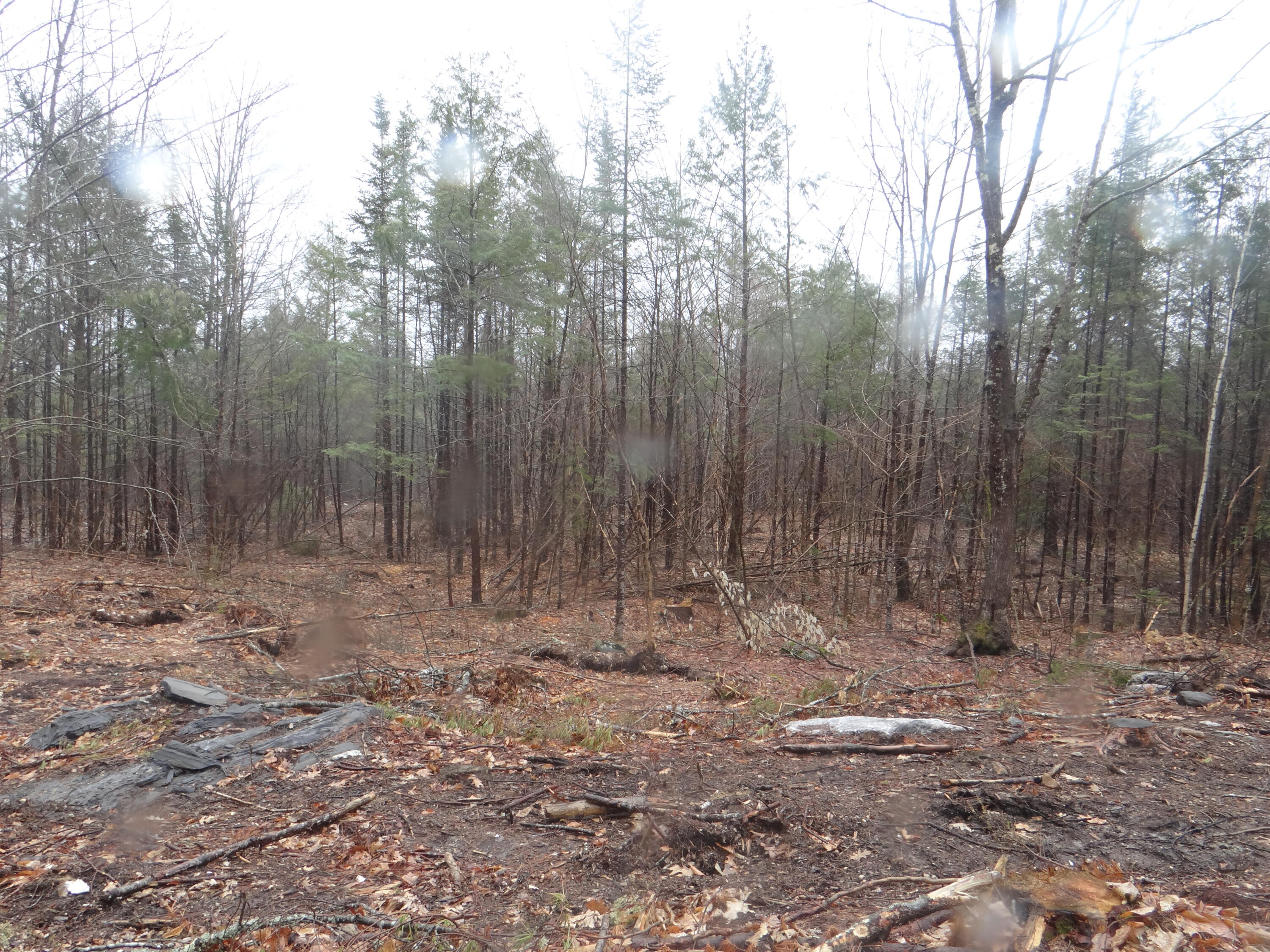0 Moody Road Standish, ME 04084 - Photo 17 of 26 DSC00018