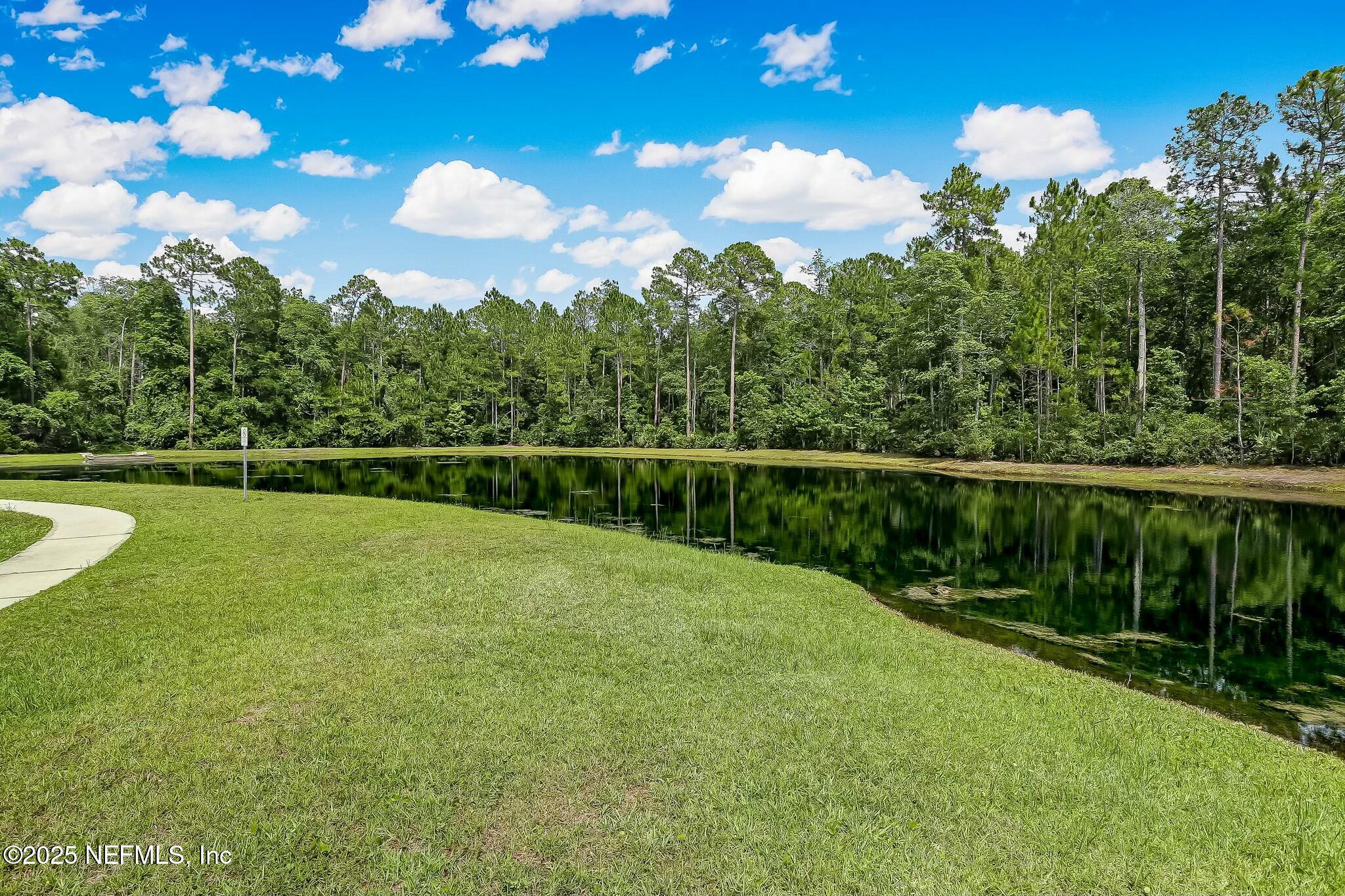 86197 Fortune Drive Yulee, FL 32097 - Photo 36 of 36 a view of a garden with a slide