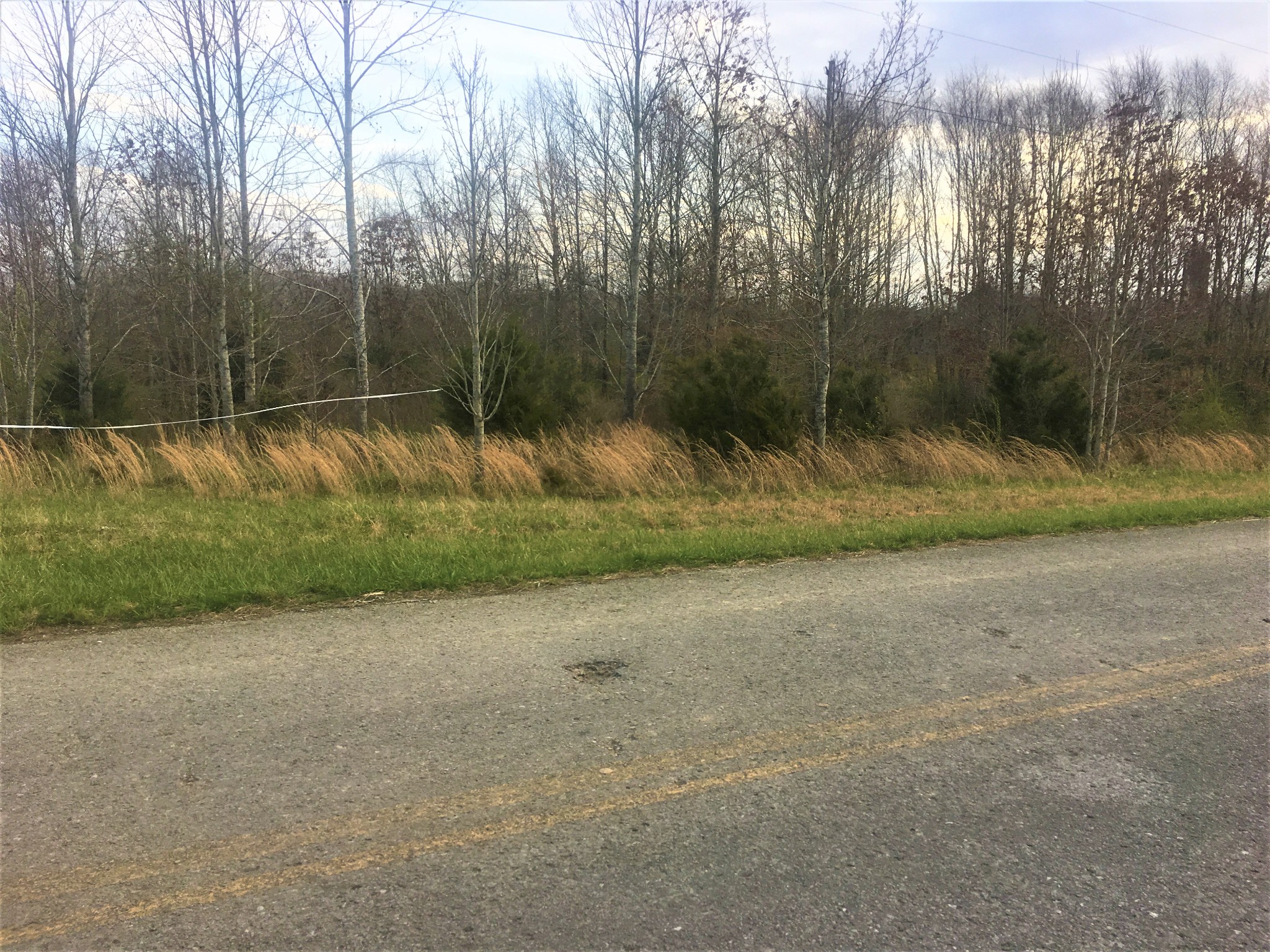 1 Hawkersmith Road Manchester, TN 37355 - Photo 3 of 7 Gallery Image 3
