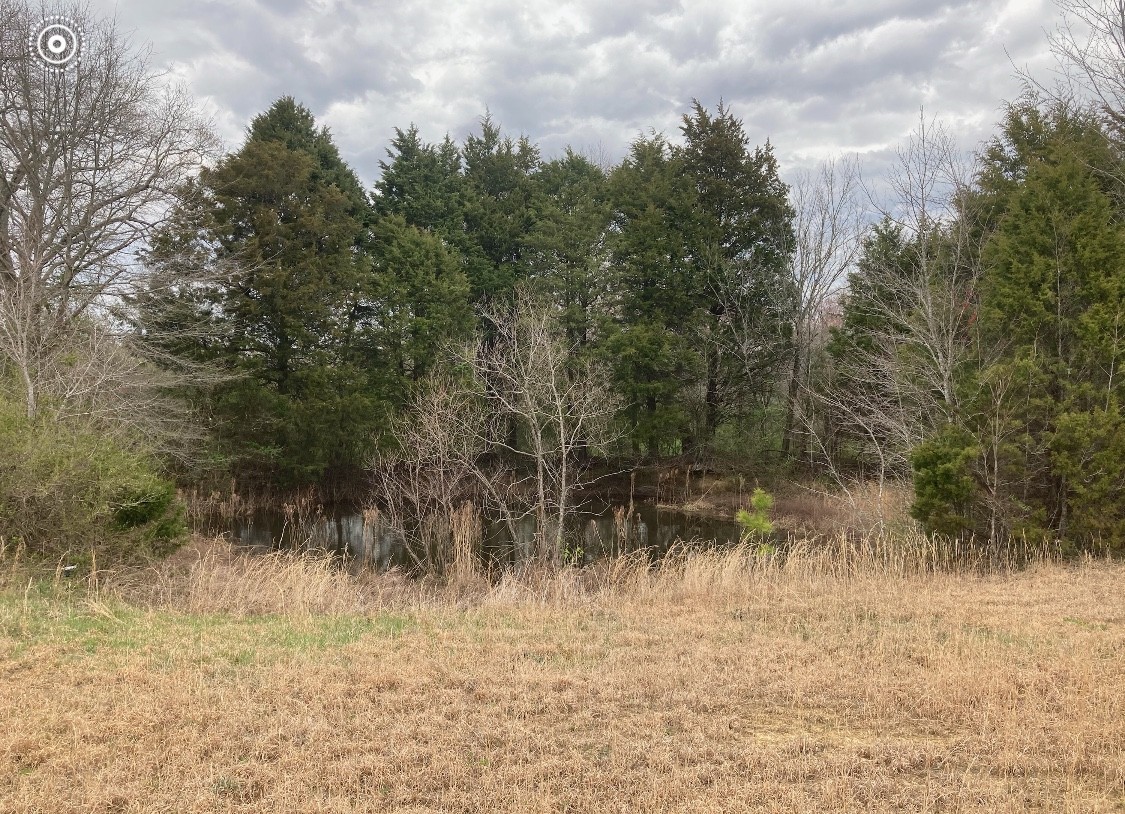 1 Hawkersmith Road Manchester, TN 37355 - Photo 6 of 7 Gallery Image 6