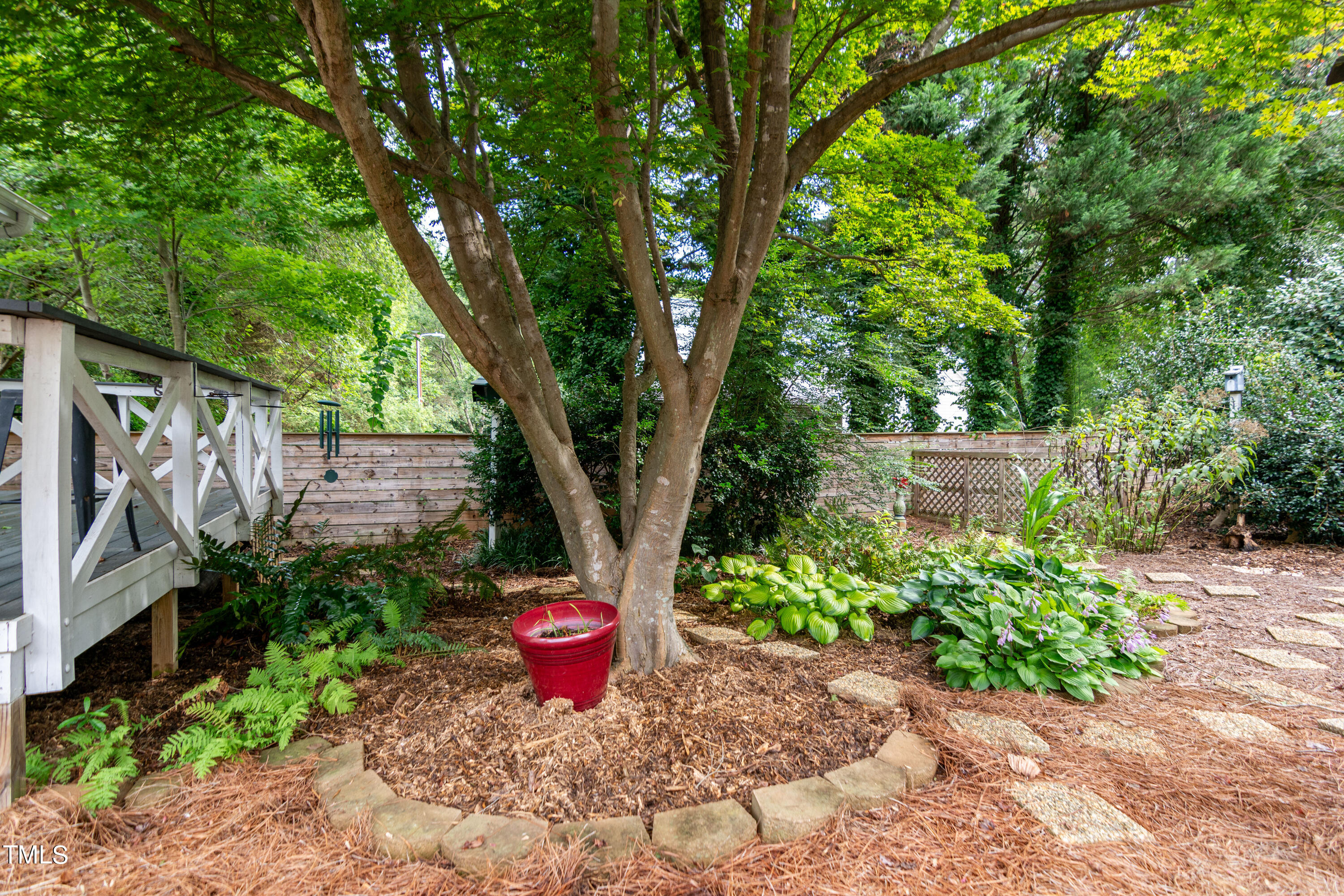 806 Temple Street Raleigh, NC 27609 - Photo 24 of 33 RJP_X_1767