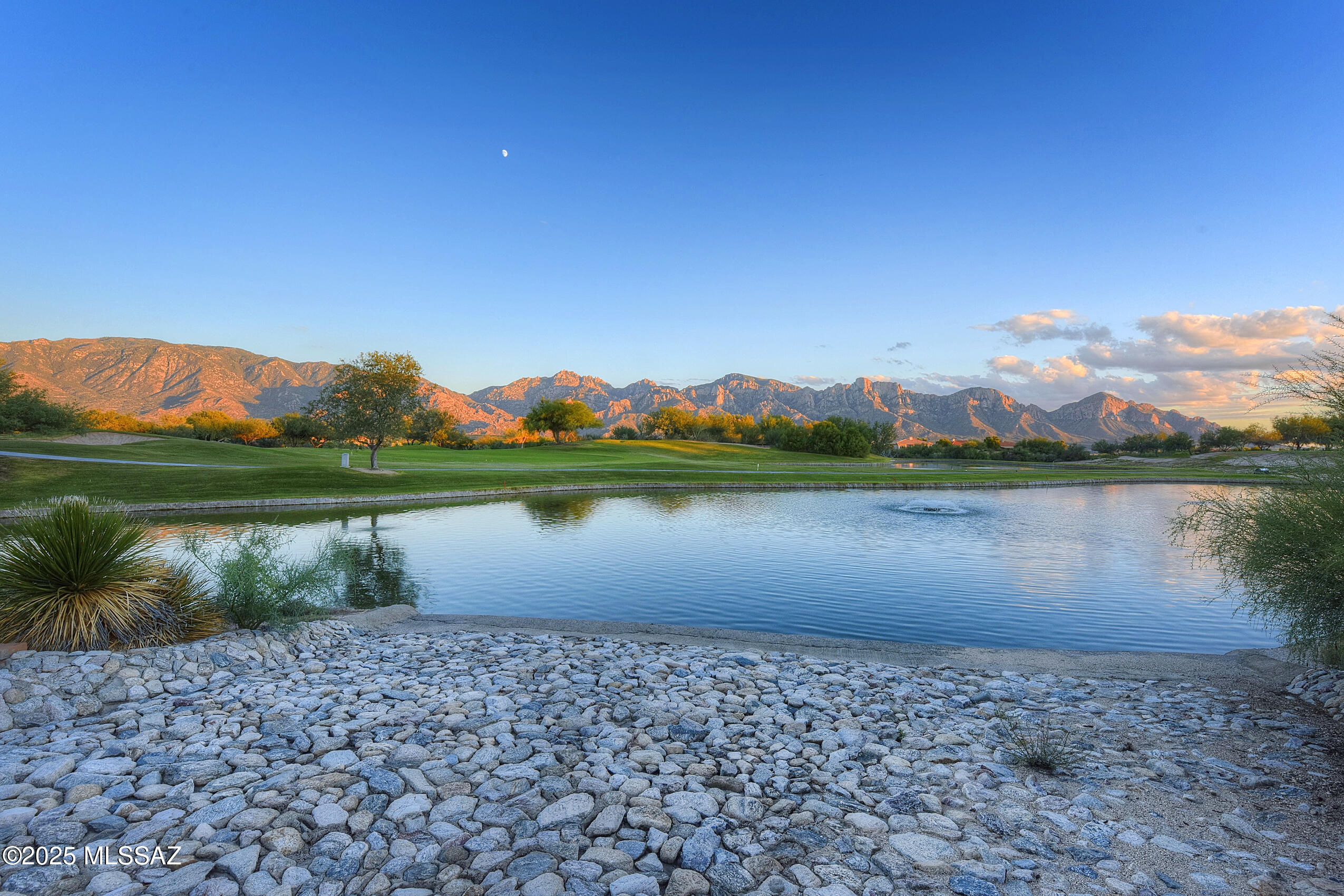 1524 East Crown Ridge Way Oro Valley, AZ 85755 - Photo 42 of 44