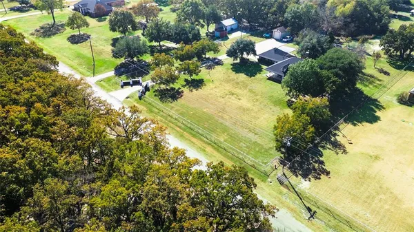 a close up of a flower in a garden