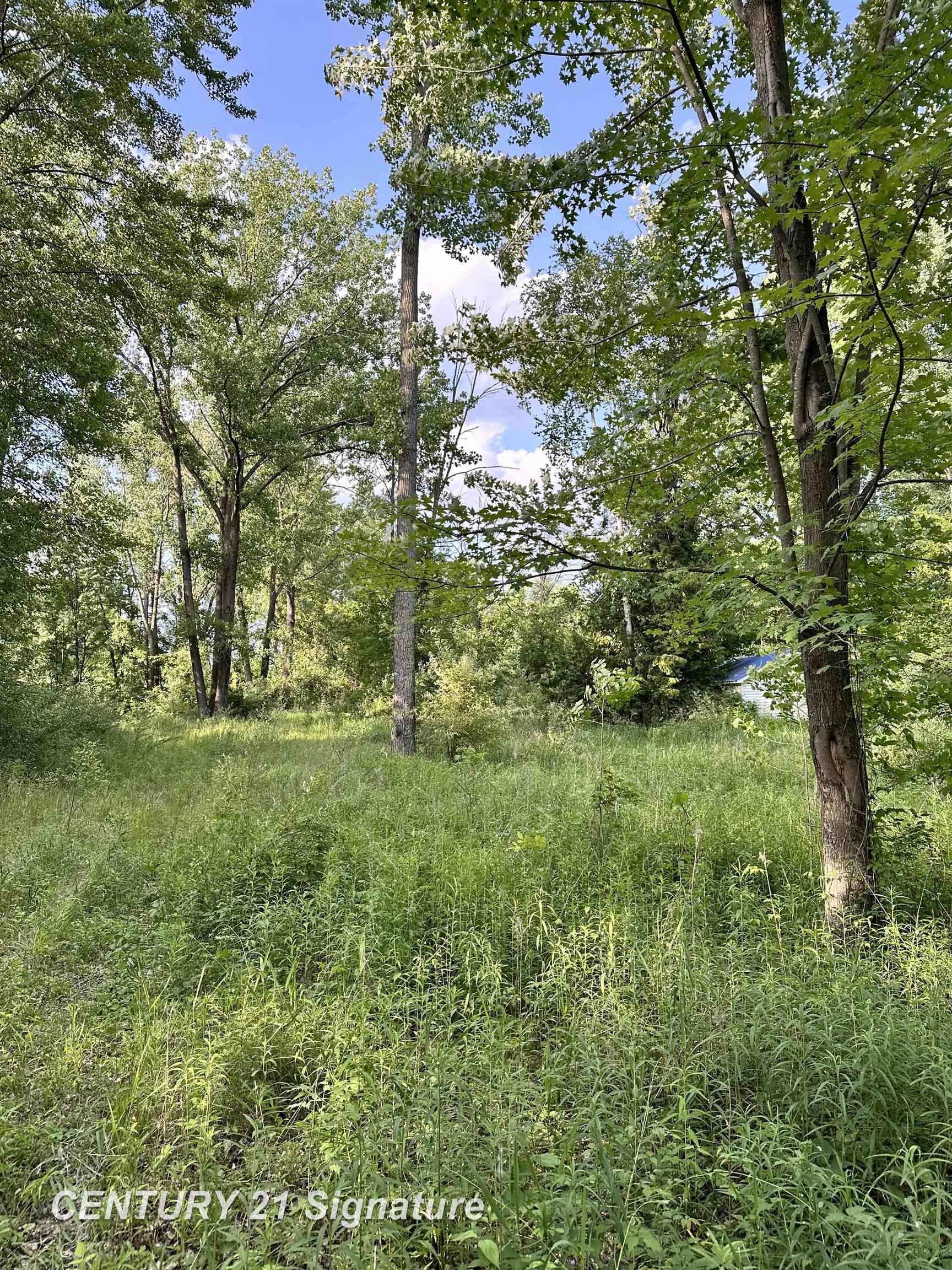 4020 Wieman Road Beaverton, MI 48612 - Photo 2 of 17
