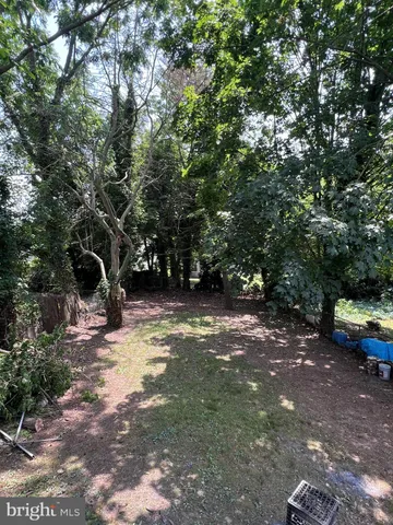 a view of a street with trees and bushes