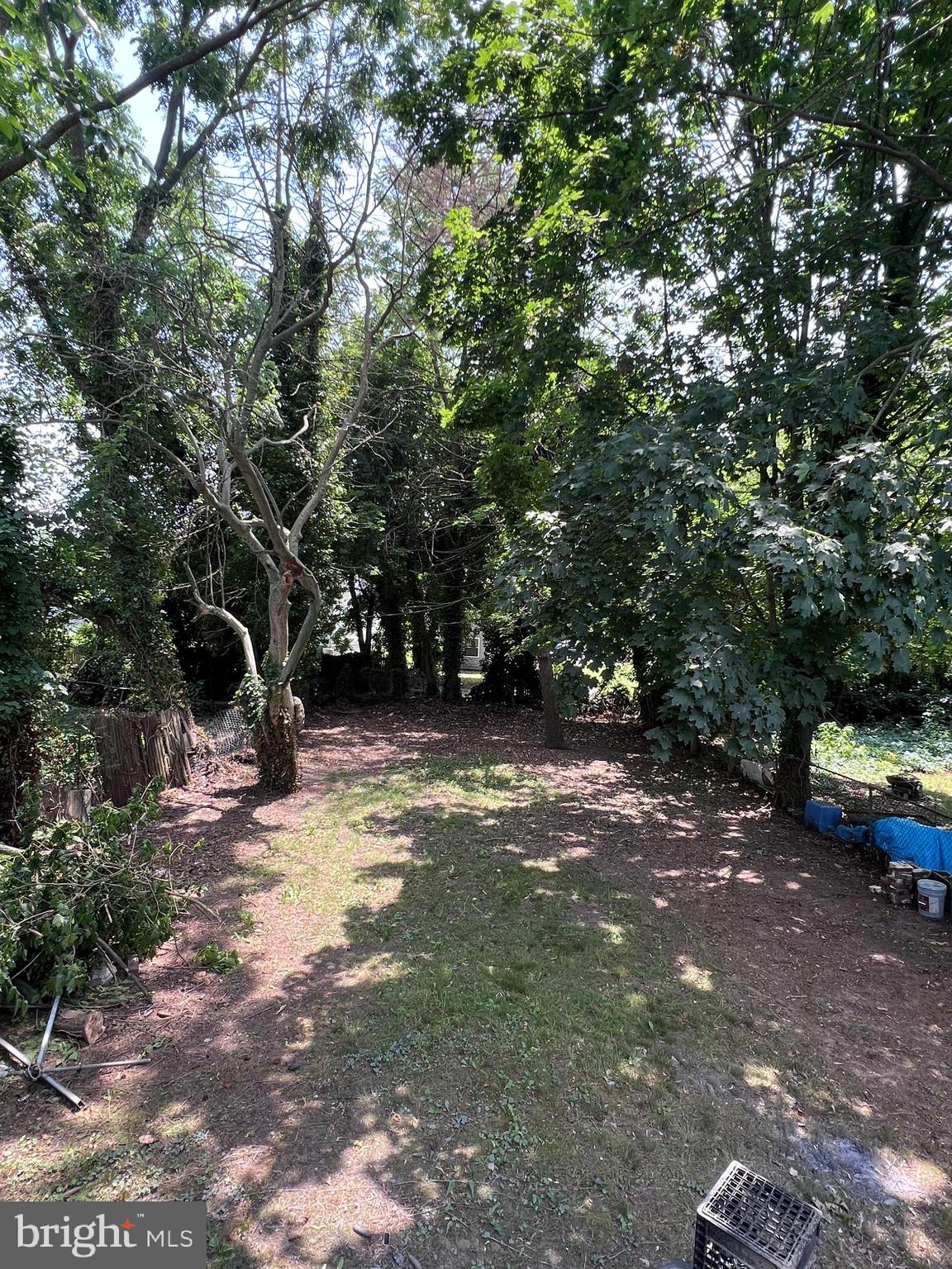 20 Olive Street, Unit C Salem, NJ 08079 - Photo 4 of 11 a view of a street with trees and bushes